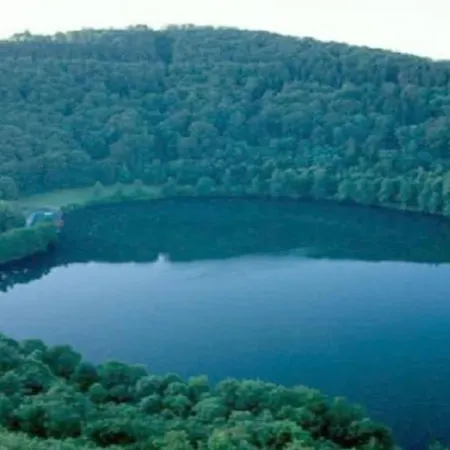 In With Swimming Pool