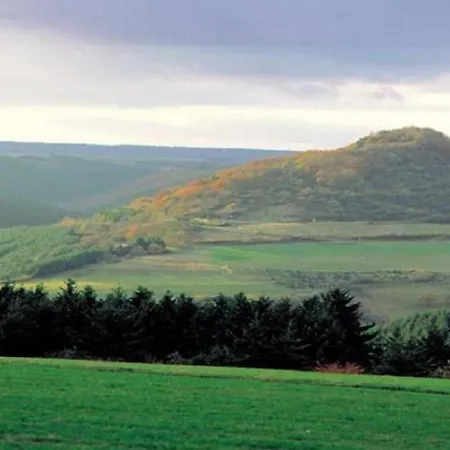 In With Swimming Pool Сasa de vacaciones Daun