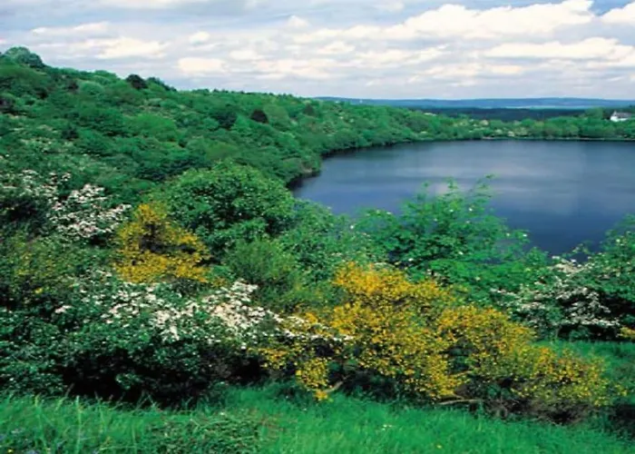 In With Swimming Pool 度假居