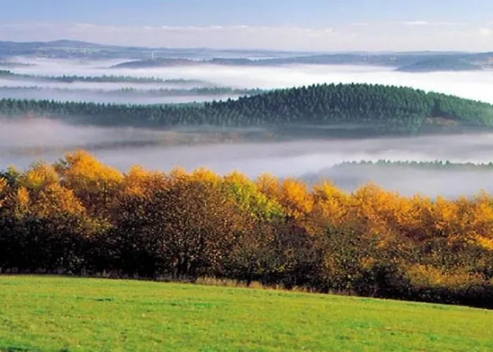 In With Swimming Pool 道恩