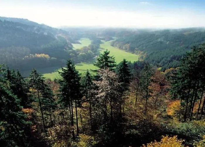 In With Swimming Pool 道恩