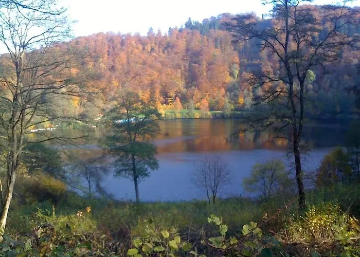 In With Swimming Pool 度假居 *